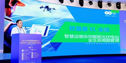 海上光伏高質(zhì)量發(fā)展研討會(huì)暨2025上海市太陽(yáng)能學(xué)會(huì)年會(huì)順利召開(kāi) 科技推廣與應(yīng)用服務(wù)的新篇章